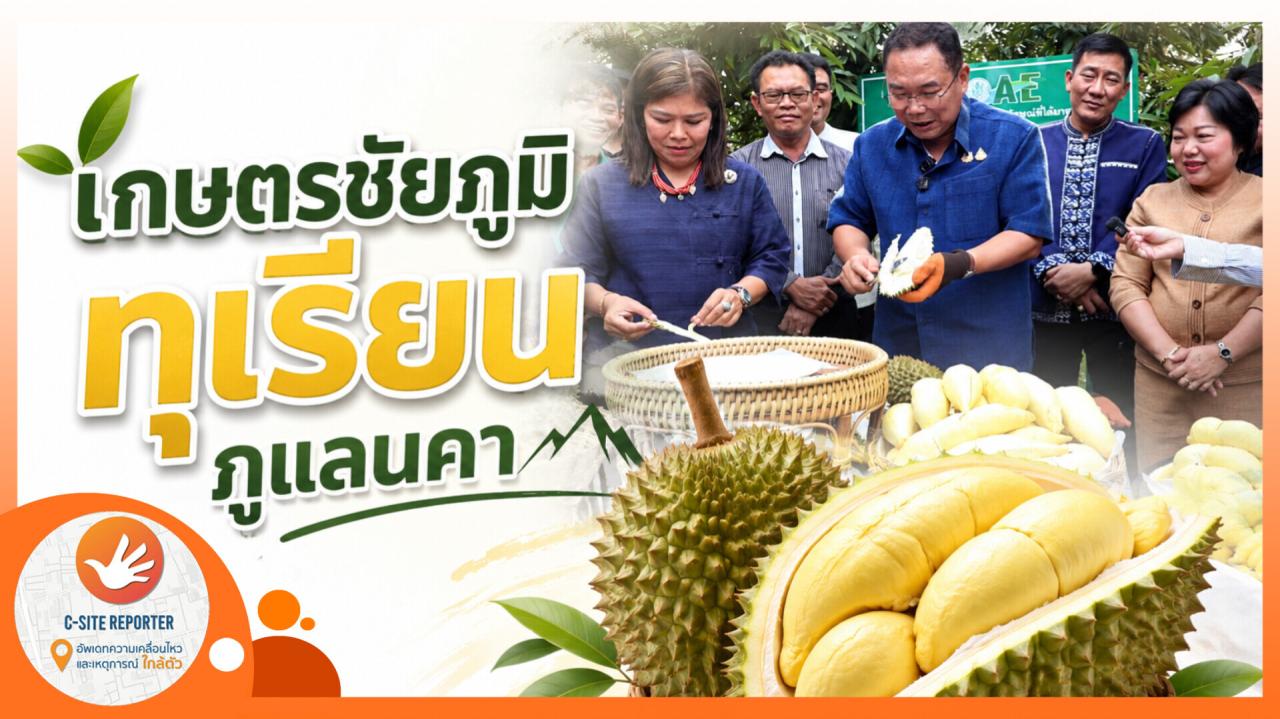 ชัยภูมิ ปักหมุดแลนด์มาร์กอร่อย! เปิด &ldquo;ถนนสายทุเรียน 4 ตำบลภูแลนคา&rdquo;