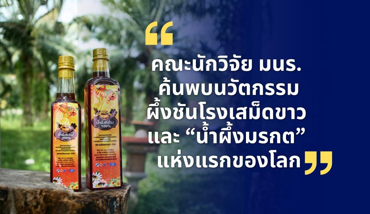 คณะนักวิจัย มนร. ค้นพบนวัตกรรมผึ้งชันโรงเสม็ดขาว และ “น้ำผึ้งมรกต” แห่งแรกของโลก 