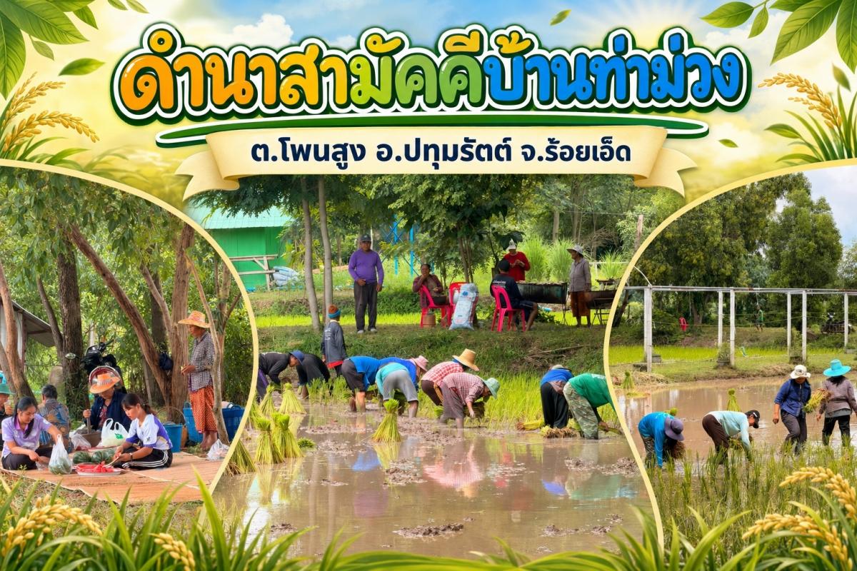 ดำนาสามัคคีที่ร้อยเอ็ด