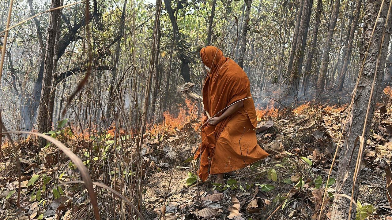 พระดับไฟป่า ทำแนวกันไฟ