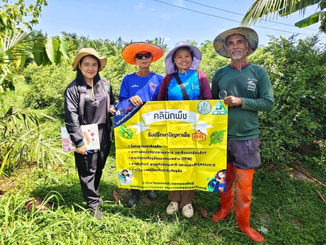 เกษตรกระแสสินธุ์ ร่วมกับหมอพืชชุมชน ให้บริการคลินิกพืช (Plant Clinic)บริการตรวจวินิจฉัยโรคพืช, ให้คำปรึกษาปัญหาแมลงศัตรูพืช และการจัดการดินปุ๋ย