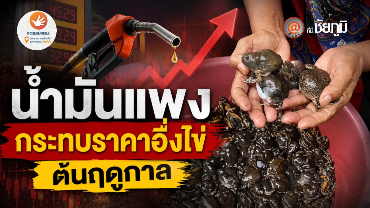 ชัยภูมิ : (มีคลิปข่าว) น้ำมันแพง ฝนแรกอึ่งอ่างอาหารพื้นบ้านออกสู่ตลาด อึ่งไข่โลละ500