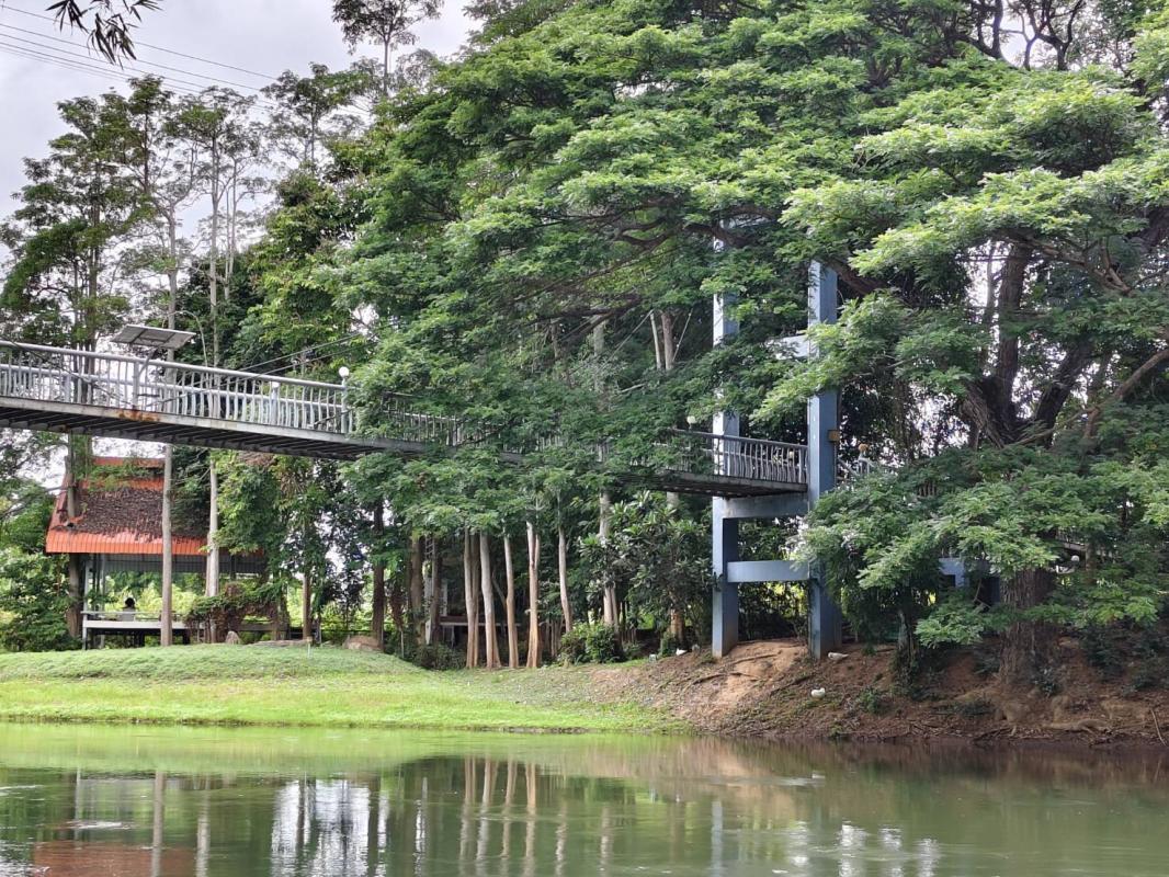 หนีความวุ่นวาย มาเติมพลังกาย-พลังใจ ให้เต็มร้อย ที่สวนเพชรริเวอร์วิวรีสอร์ท