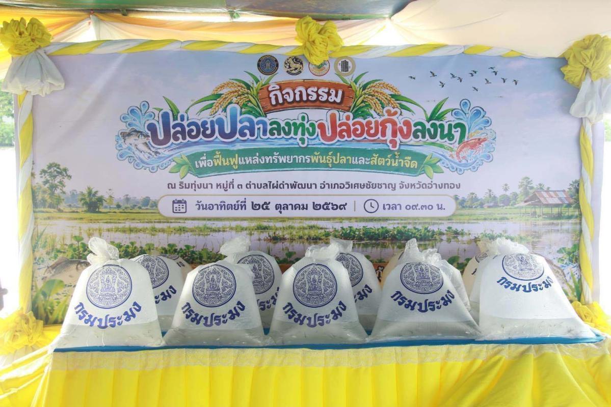 >>> ในน้ำมีกุ้ง ในทุ่งมีปลา ? อ.วิเศษฯ ปล่อยสัตว์น้ำกว่าล้านตัวขยายพันธุ์ใน ‘ทุ่งไผ่ดำ’ <<<