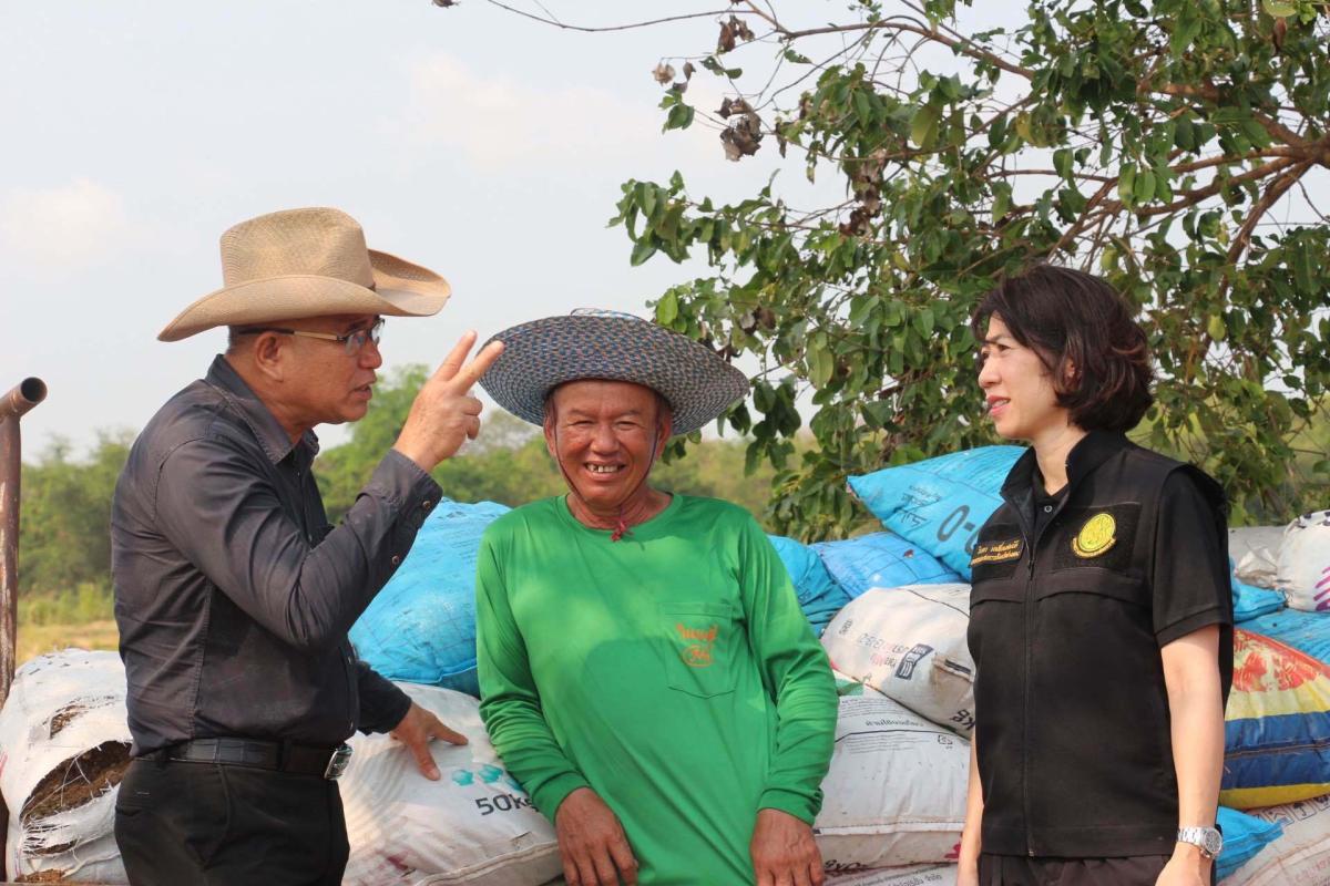  >>> จากชาวนา 10 กว่าปี ลองเปลี่ยนพื้นที่บางส่วนมาปลูก &rsquo;ผักชี&lsquo; ส่งออกขายมีรายได้ทั้งปี <<<