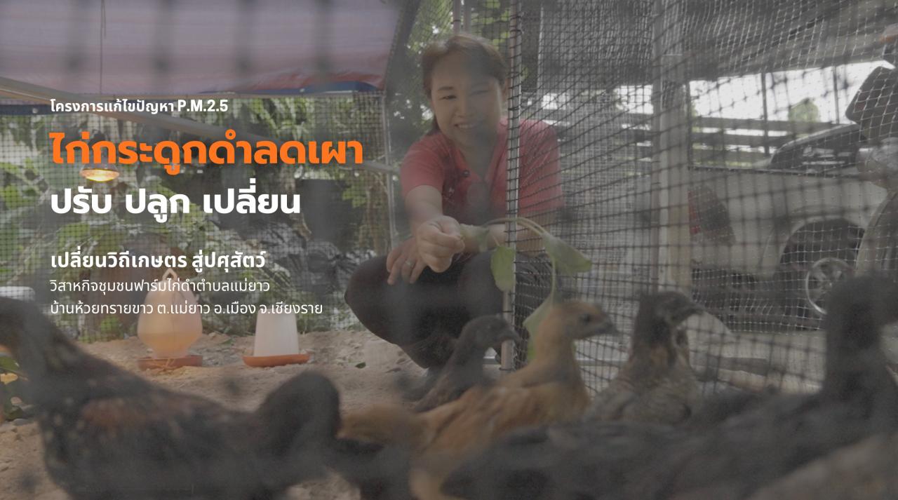 ชุมชนไก่ดำลดการเผา