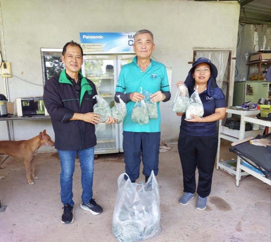 เกษตรควนเนียง ลงพื้นที่ส่งมอบเชื้อราไตรโคเดอร์มาพร้อมใช้เพื่อควบคุมโรคสาเหตุจากเชื้อรา