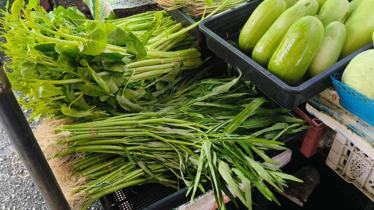  ตรังผักแพงรับกินเจ! น้ำท่วมผสมโรง พาเหรดขึ้นราคา ผักบุ้งจีนพุ่ง 90 บ./กก. ผักชีพุ่งแตะ 250บ./กก. แม่ค้าโอดขายยาก ลูกค้าซื้อเท่าที่จำเป็น