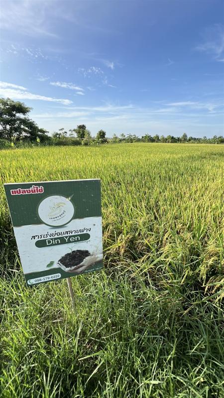 >>> "ดินเย็น&lsquo; คืออะไร ทำไม? ต้อง &lsquo;ดินเย็น&rsquo; <<<