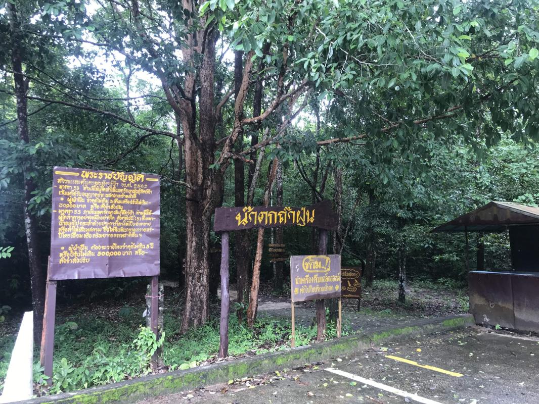 เฝ้าระวังสิ่งแวดล้อมบุ่งคล้า