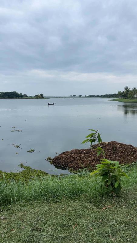 ปัญหาวัชพืชในหนองหาร