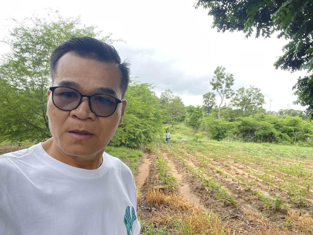 ชัยภูมิ สืบสานบุญบั้งไฟขอฝน