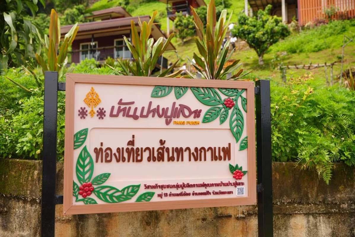 เชียงรายพาสื่อ–ผู้ประกอบการเปิดเส้นทาง “ปางปูเลาะ” ชูชา–กาแฟเชื่อมวิถีชุมชน สู่ท่องเที่ยวยั่งยืน