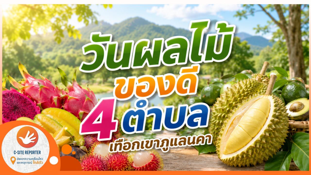 ชัยภูมิ : เชิญเที่ยวงานวันผลไม้ ประจำปี 2569 ของดีบนขุนเขาภูแลนคา 

