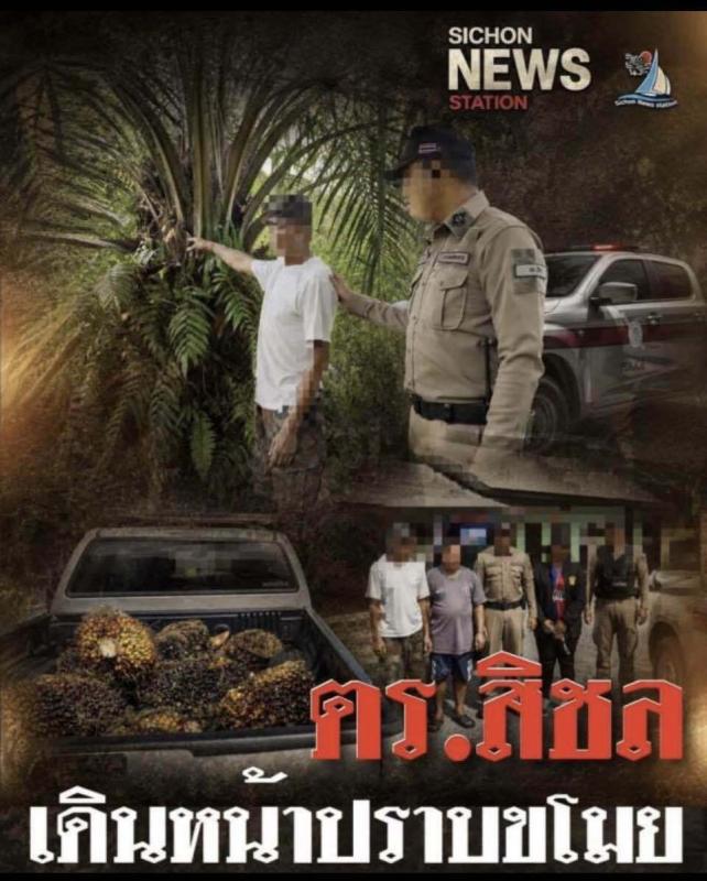 นายอำเภอสิชล ไฟเริ่มติดมัดรวมภาคส่วนหาจุดดับโจรลักปาล์ม สร้างสุขชาวสวน
