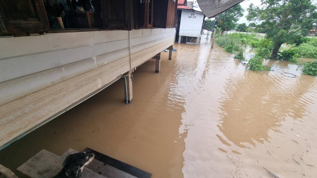 สถานการณ์ บางบาลวิกฤต