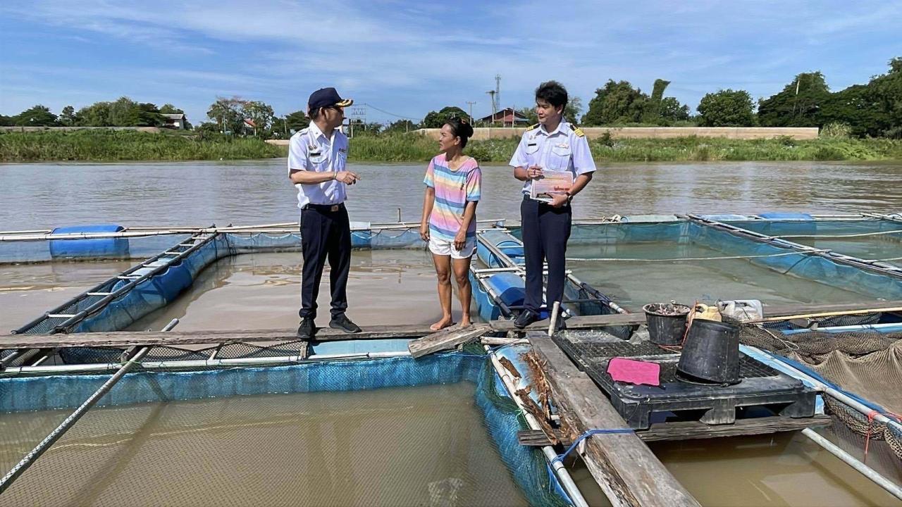 >>> ประมงอ่างทองพบผู้เลี้ยงปลากระชัง แจ้งข้อมูลและเฝ้าระวังผลกระทบจากการระบายน้ำท้ายเขื่อนเจ้าพระยา <<<