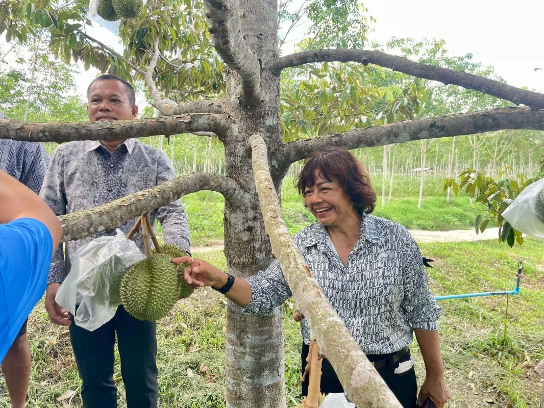เกษตรนาหม่อม ลงพื้นที่เยี่ยมเกษตรกรผู้ปลูกทุเรียน ตำบลทุ่งขมิ้น