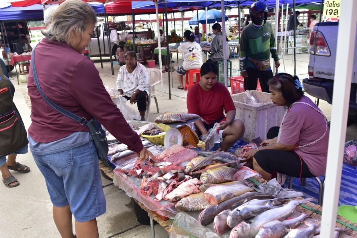 พิษณุโลก &ndash;  คึกคัก ฤดูน้ำหลาก ปลาแม่น้ำ ออกเพียบ นาทีทองคนรักปลา ราคาลดเหลือ กก.ละ 300 บาท