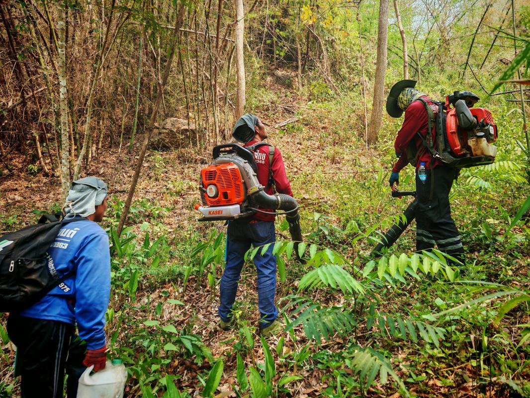 ไฟไหม้ป่า แต่น้ำมันหมด ไม่มีใส่เครื่องเป่า​ลม