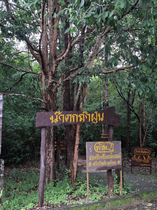 เฝ้าระวังสิ่งแวดล้อมบุ่งคล้าบึงกาฬ 