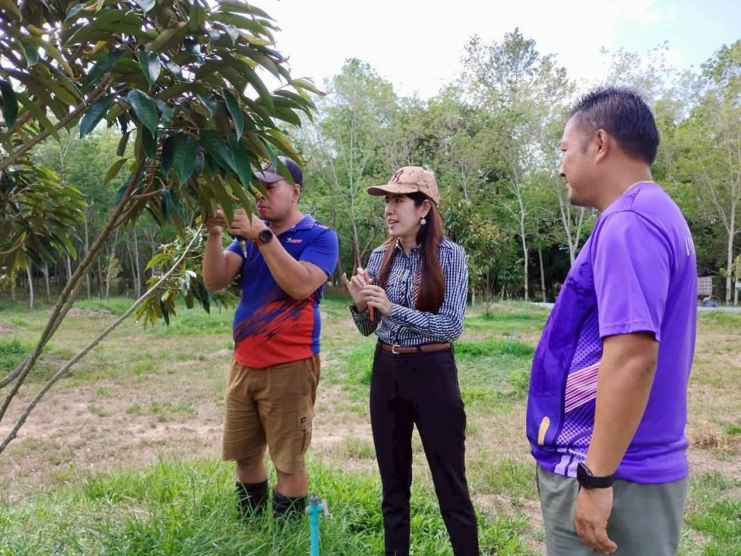 เกษตรสะเดา ลงพื้นที่เยี่ยมเยียนแปลงทุเรียนและให้บริการคลินิกพืชตำบลเขามีเกียรติ