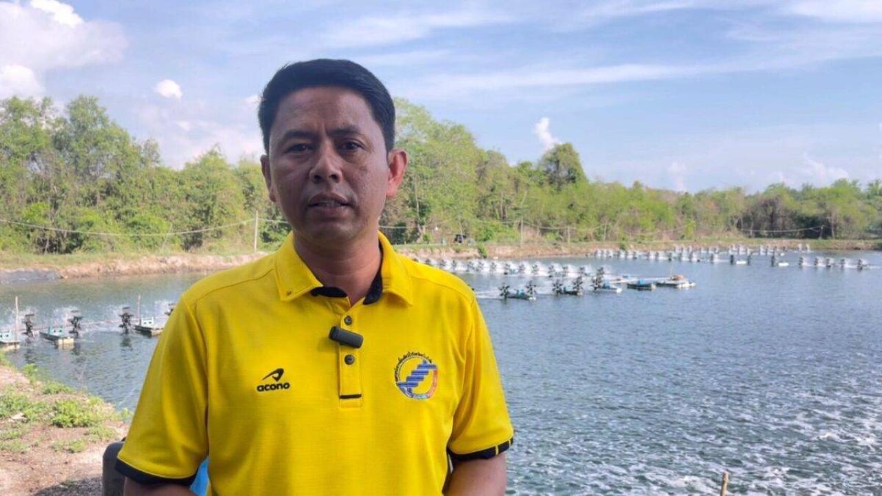 ผู้เลี้ยงกุ้งตรัง เชื่อรบ.เจรจามาเลฯปลดล็อกนำเข้ากุ้งไทยได้ จี้พาณิชย์ทำให้จริงรณรงค์คนไทยกินกุ้งไทย ยังไร้วี่แววมาตรการภาครัฐ ไม่เอาชดเชย 20บ./กก. ค่าลูกกุ้งก็ไม่พอ เตือนแลกปลากะพงมาเลฯกระทบผู้เลี้ยงไทยหนักแน่ หึ่งสารเคมีปนเปื้อนหนาหู