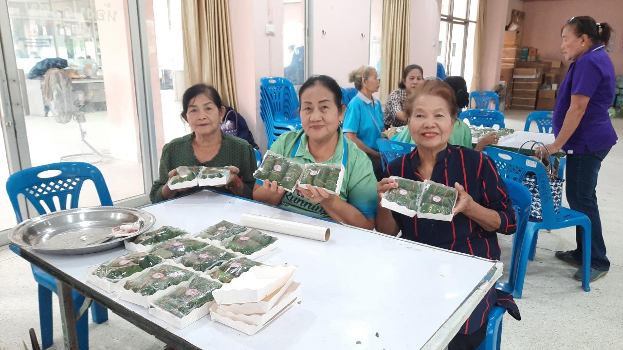โครงการส่งเสริมอาชีพและสร้างรายได้ของผู้สูงอายุ คนพิการและกลุ่มสตรีในเขตเทศบาลตำบลนิคมคำสร้อย