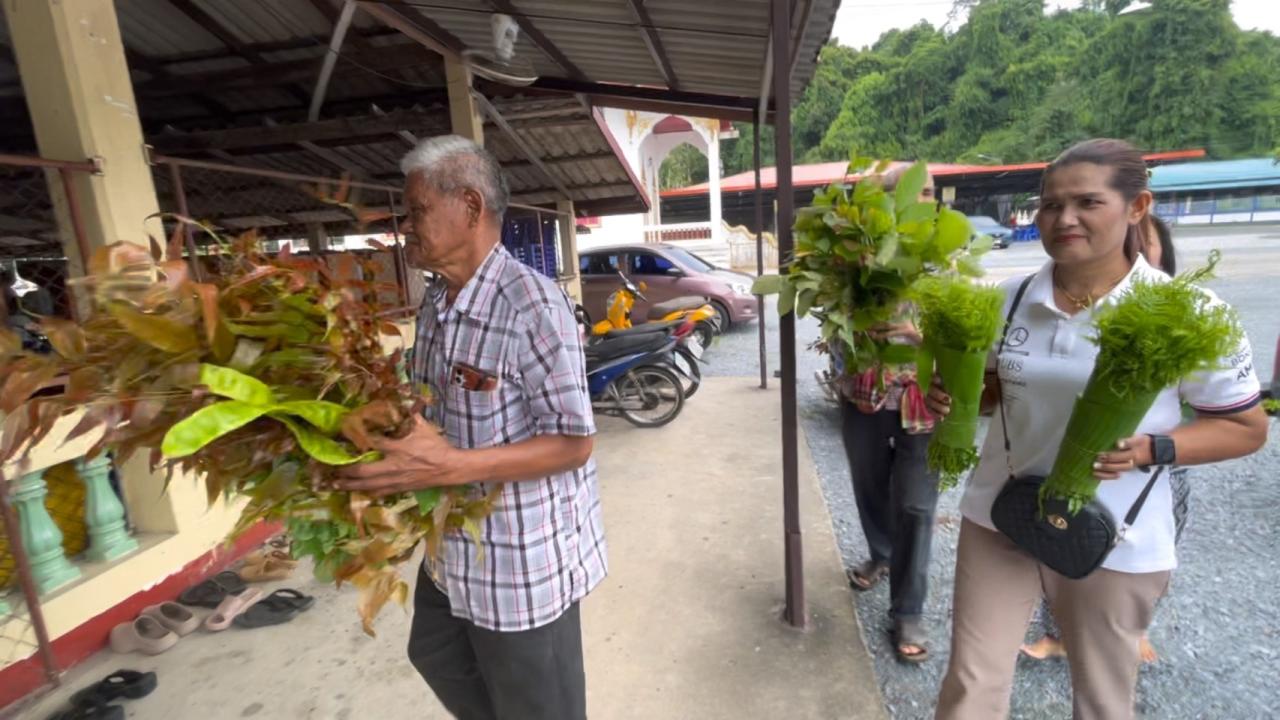 หิ้วผักเข้าวัด พุทธศาสนิกชนเขาปูนตรัง ผุดโครงการ &ldquo;ร่วมบุญ ร่วมแลก&rdquo; นัดแลกพืชผักหิ้วปิ่นโตเข้าวัดทุกวันพระ ต้องปลูกเองไร้สาร ส่งต่อต้นพันธุ์ร่วมปลูกต่อ น้อมนำศก.พอเพียงในหลวงร.9 ลดรายจ่าย-เพิ่มรายได้-ร่วมแบ่งปัน