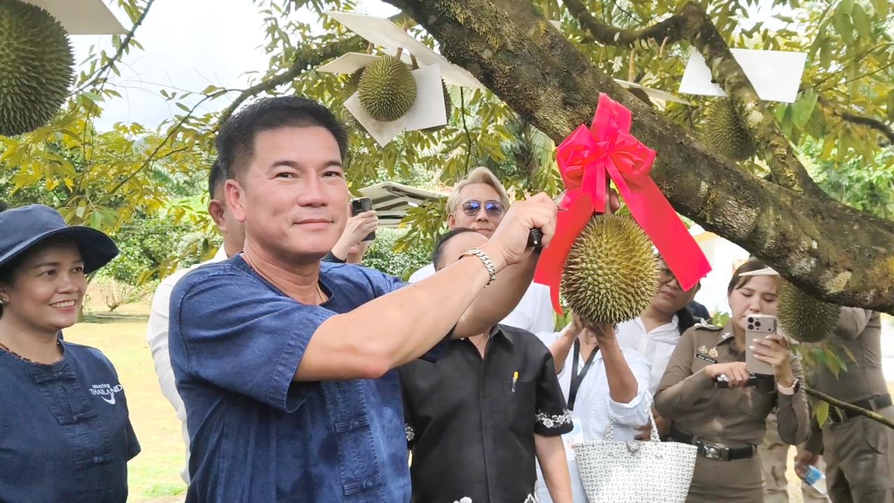 พังงา-ผู้ว่าตัดทุเรียนสาลิกามีดแรก เปิดฤดูกาลผลไม้พังงา ททท.พังงา แจกคูปองกินผลไม้ 34สวนให้นักท่องเที่ยวช่วง Green Season
