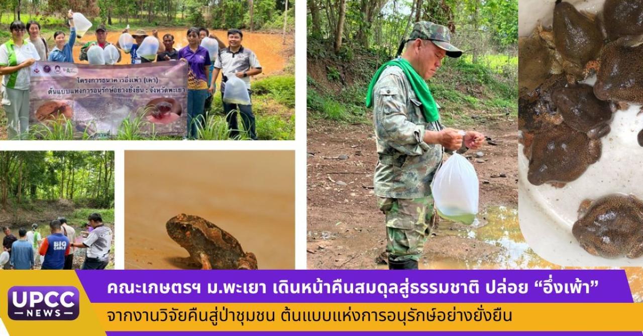 คณะเกษตรฯ ม.พะเยา เดินหน้าคืนสมดุลสู่ธรรมชาติ ปล่อย &ldquo;อึ่งเพ้า&rdquo; จากงานวิจัยคืนสู่ป่าชุมชน