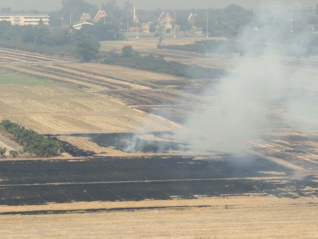 #ห้ามเผา แต่ก็ยังไม่วาย เข้าใจชาวนา แต่ก็ไม่รู้ว่าจะต้องทำยังไง?