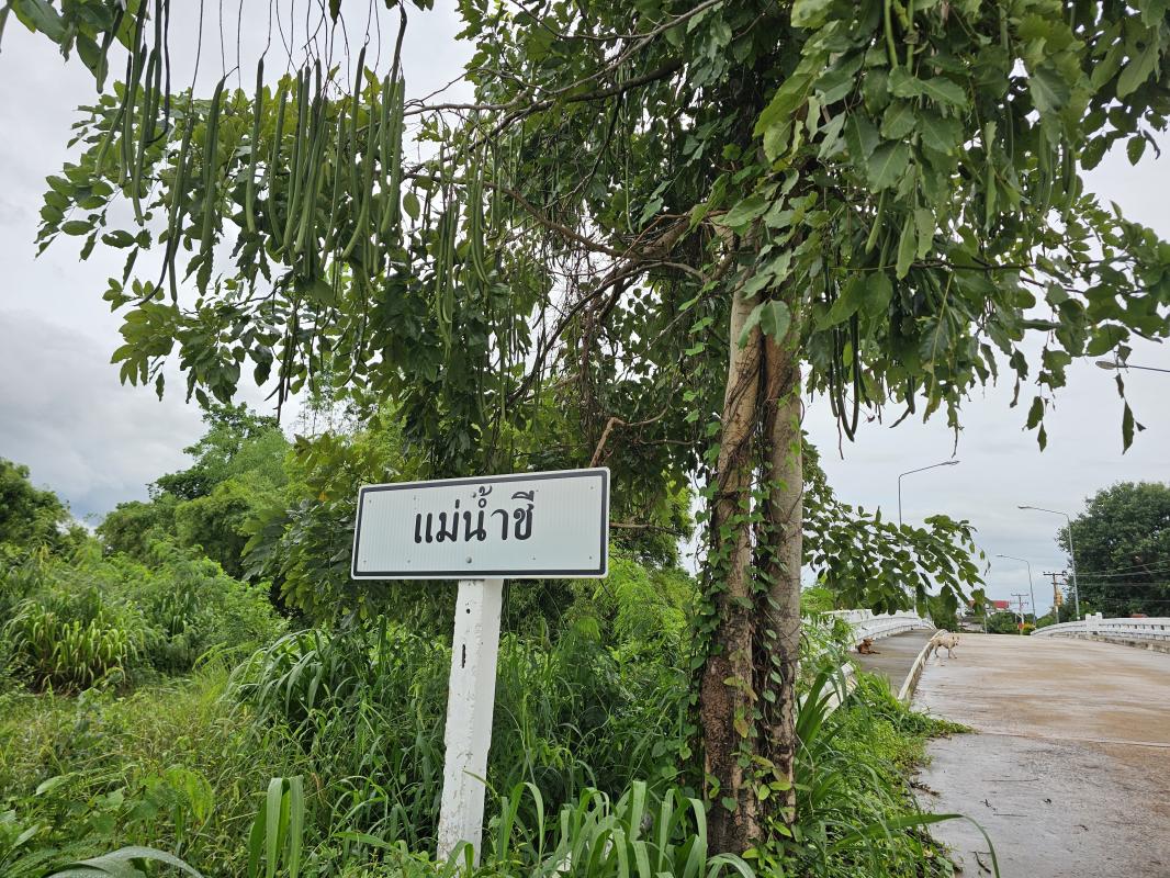 คอยเฝ้าระวังอย่างใกล้ชิด กับภัยน้ำท่วม