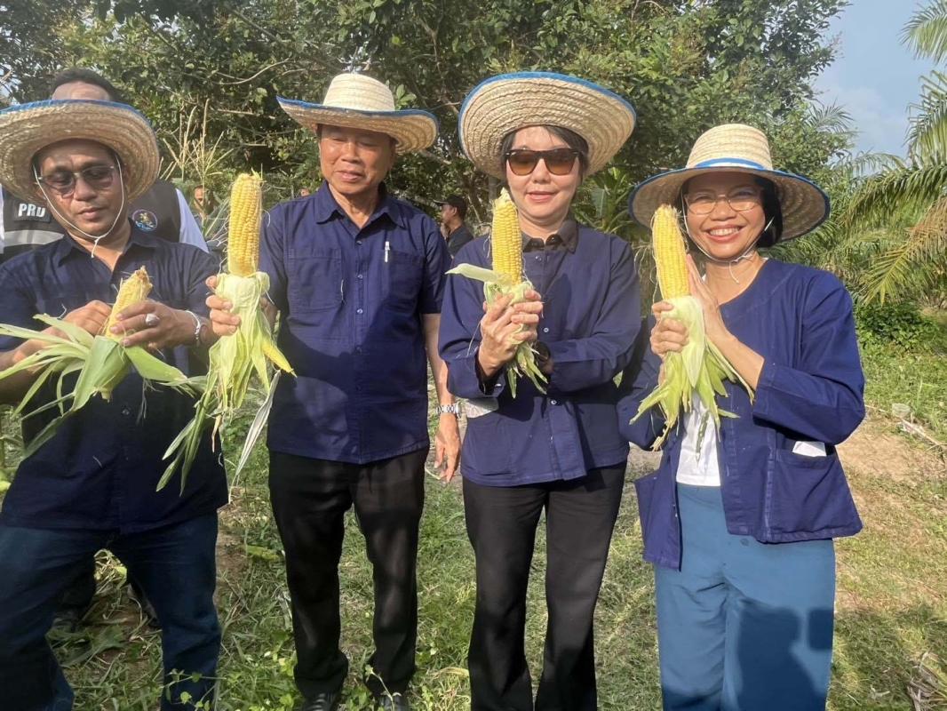 สตูลใช้เกษตรโปรท่องเที่ยวสร้างเม็ดเงิน
