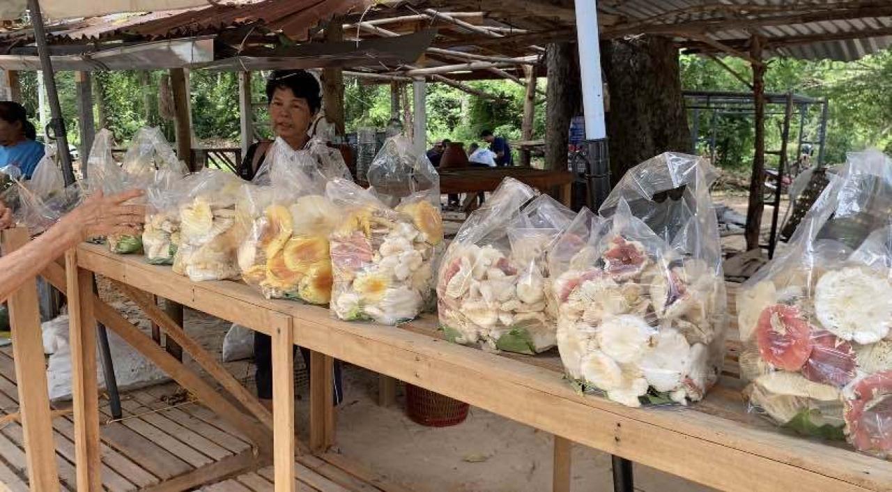 ตลาดเห็ด อ.เขื่องใน จ.อุบลราชธานี