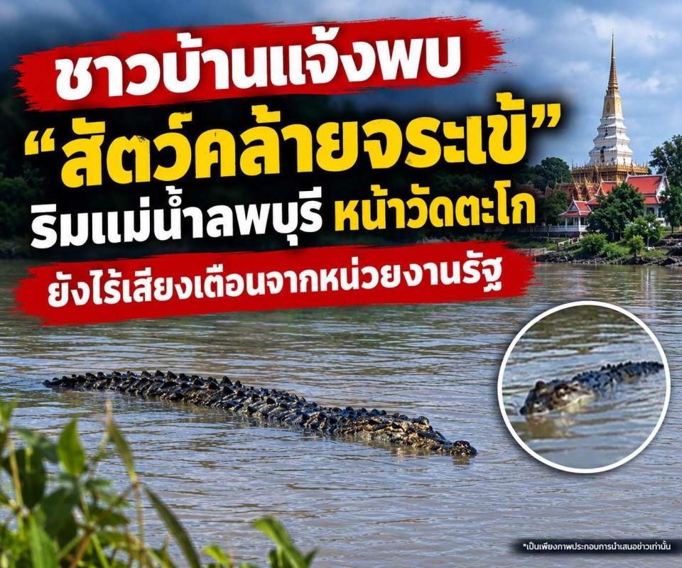 ชาวบ้านแจ้งพบ "สัตว์คล้ายจระเข้" หน้าวัดตะโกริมแม่น้ำลพบุรี ยังไร้เสียงเตือนจากหน่วยงานรัฐ