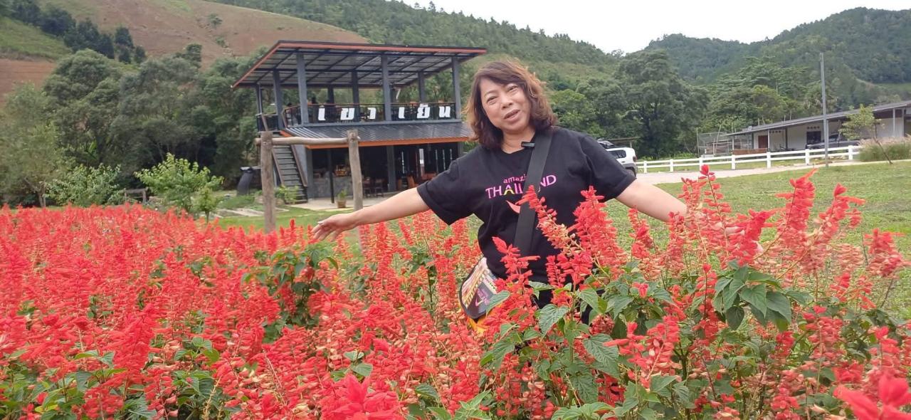 ดอกซัลเวียสีแดงบานสะพรั่งรับ Green Season เติมสีสัน &ldquo;เขาเย็น&rdquo; บ้านอุ้มเปี้ยม จุดเช็กอินใหม่แห่งอำเภอพบพระ