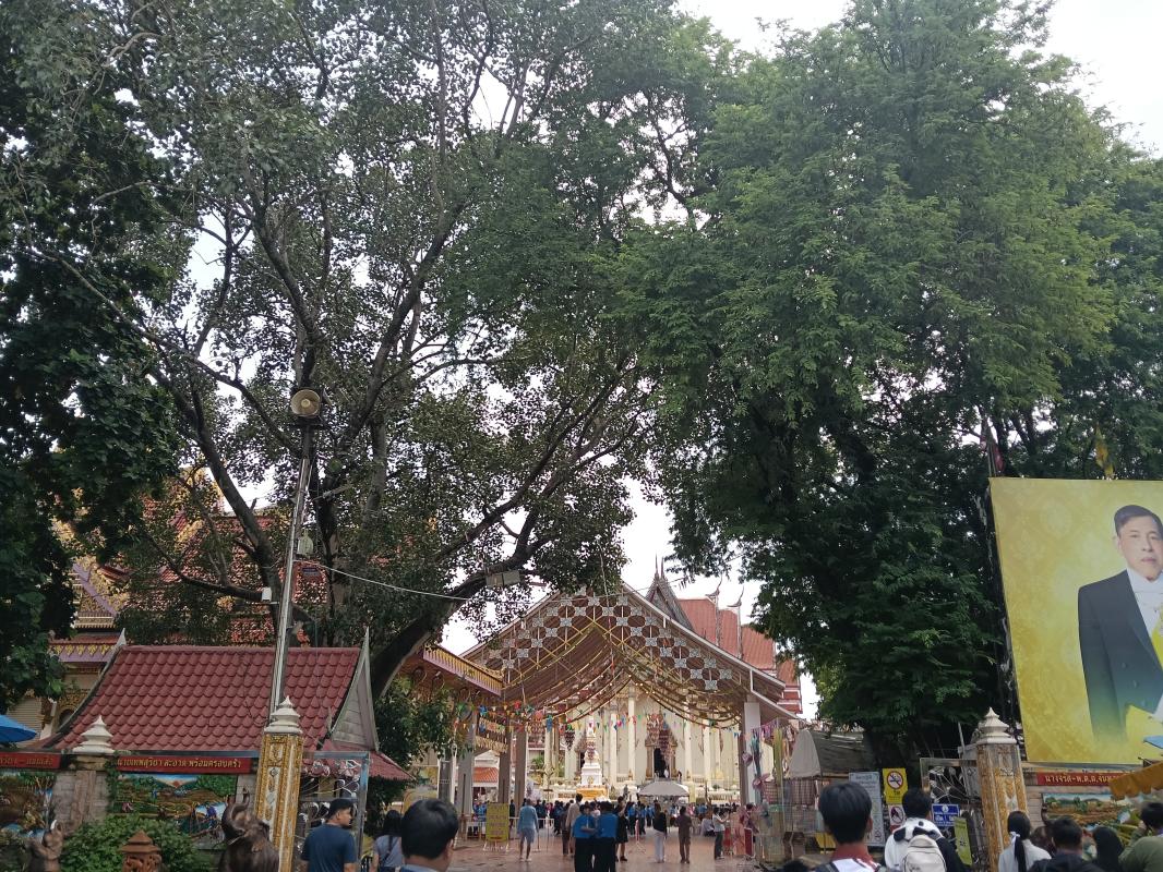 ลงพื้นที่สัมภาษณ์ผู้คนบริเวณวัดโพธิ์ชัย