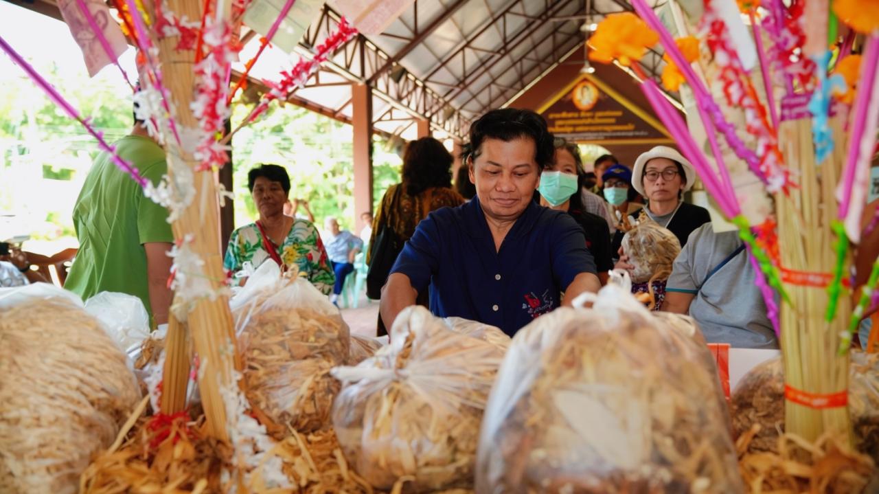ผ้าป่าข้าวโพด สร้างพระดับไฟในใจคน