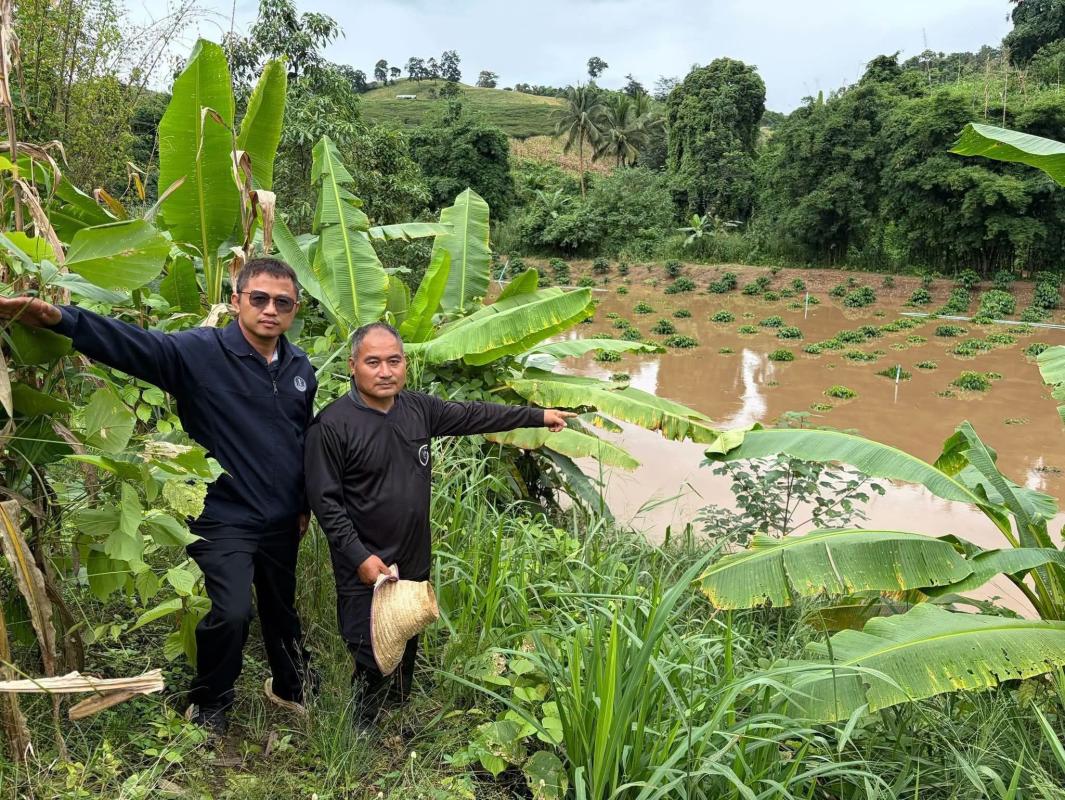 เกษตรอุ้มผางเร่งติดตามอุทกภัย กระทบพื้นที่เกษตร 3 ตำบล
ข้าว&ndash;ข้าวโพด&ndash;กาแฟโดนน้ำ เร่งสำรวจความเสียหายช่วยเกษตรกร
