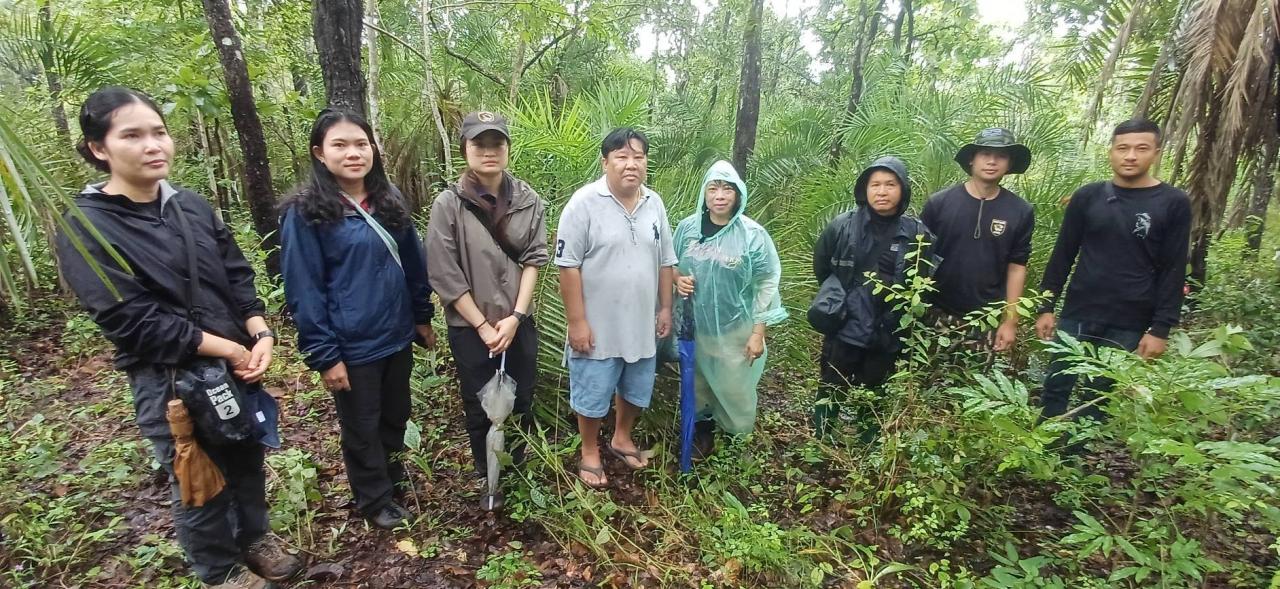 เปิดภาพ &ldquo;พิศวงตานกฮูก&rdquo; พืชหายากอุ้มผาง โผล่กลางป่าฤดูฝน
