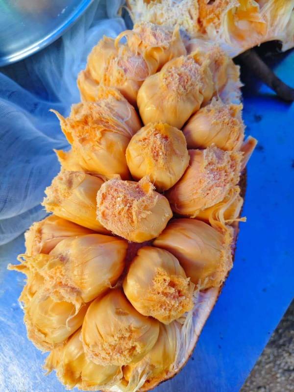 สตูลังจัดใหญ่ งานจำปะดะ