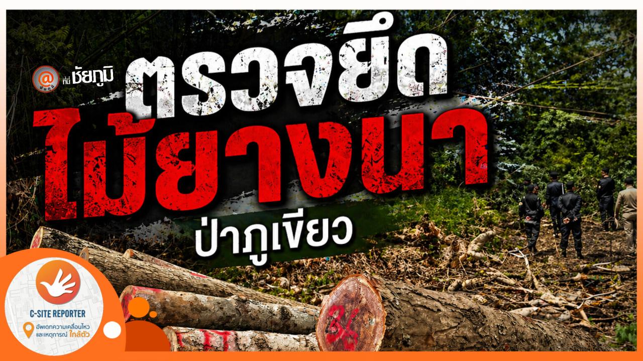 ชัยภูมิ : (มีคลิปข่าว) ตรวจยึดไม้ยางนา ป่าภูเขียวพบทำเป็นขบวนการ 