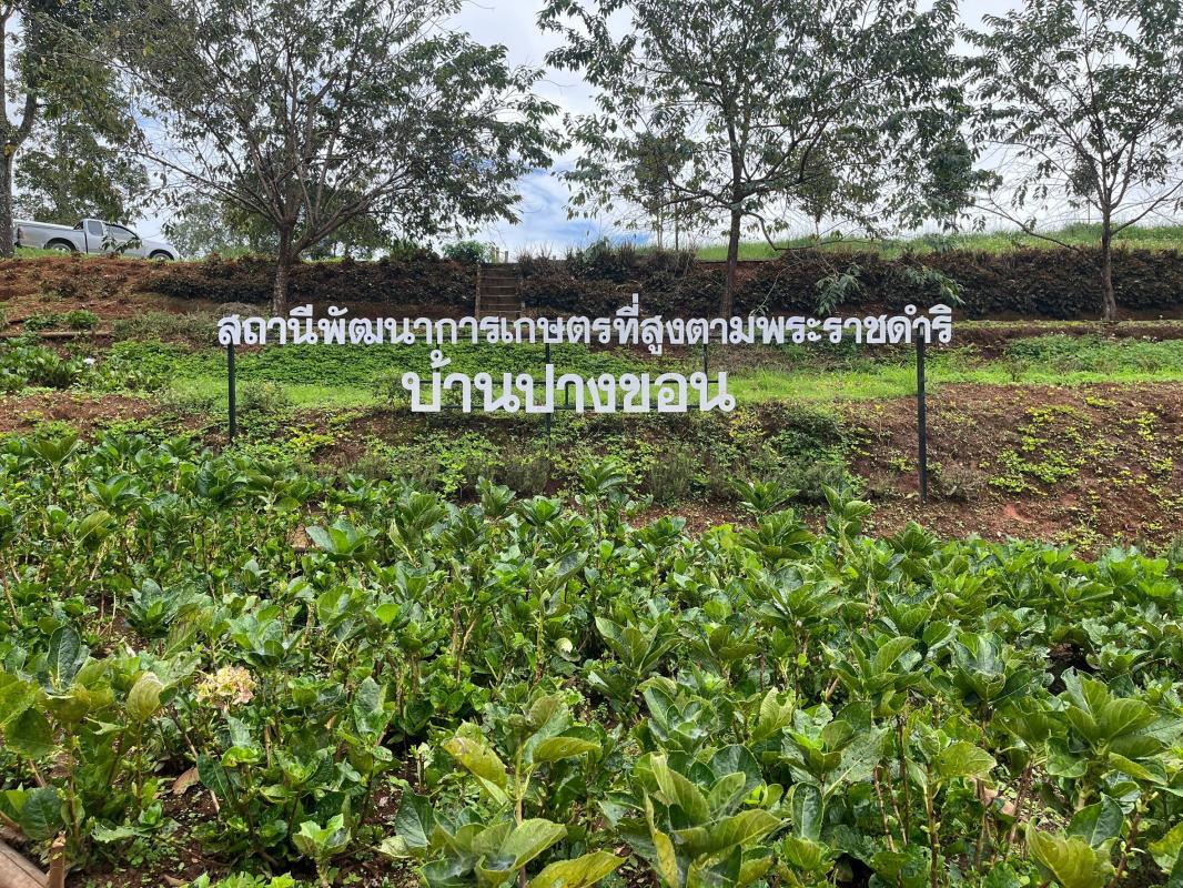 เติมทักษะ เกษตรกรต้นแบบ จากข้าวโพดสู่กาแฟ