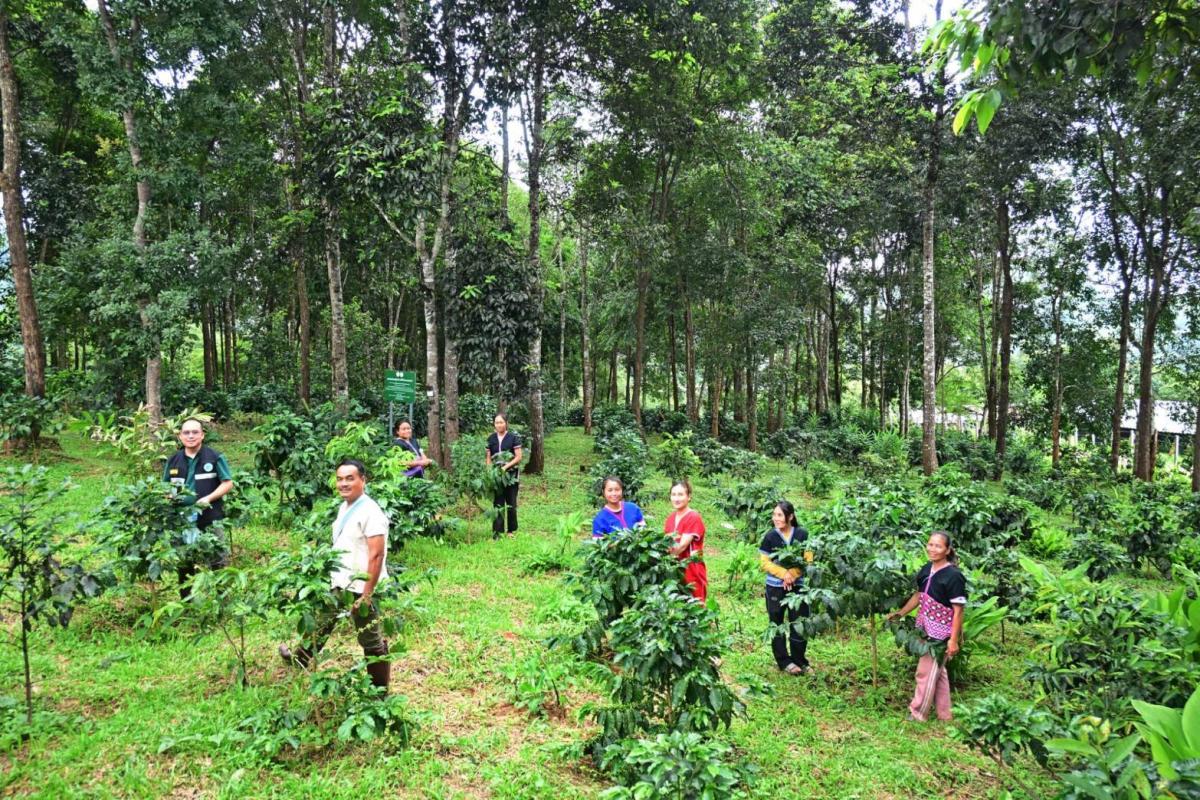 บ้านหนองเขียวสู่ต้นแบบเกษตรอินทรีย์
