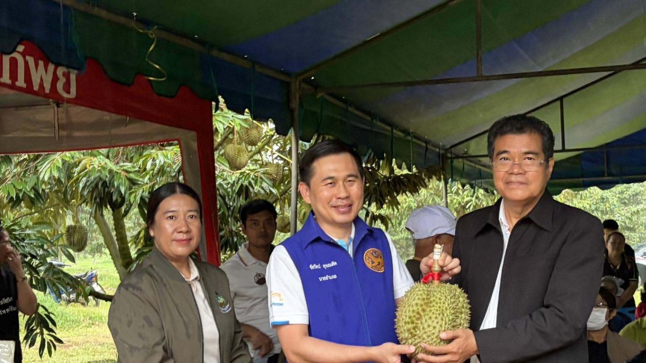 เกษตรบางกล่ำ จัดกิจกรรมเปิดฤดูกาลเก็บเกี่ยวทุเรียนคุณภาพอำเภอบางกล่ำ ประจำปี 2569