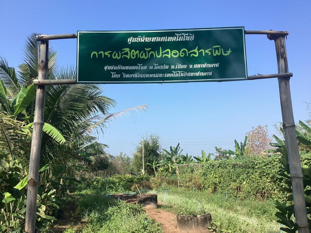 เกษตรเชิงผสมผสาน ณ บ้านหนองโจด หมู่ที่9 ตำบลโคกก่อ อำเภอเมือง จังหวัดมหาสารคาม