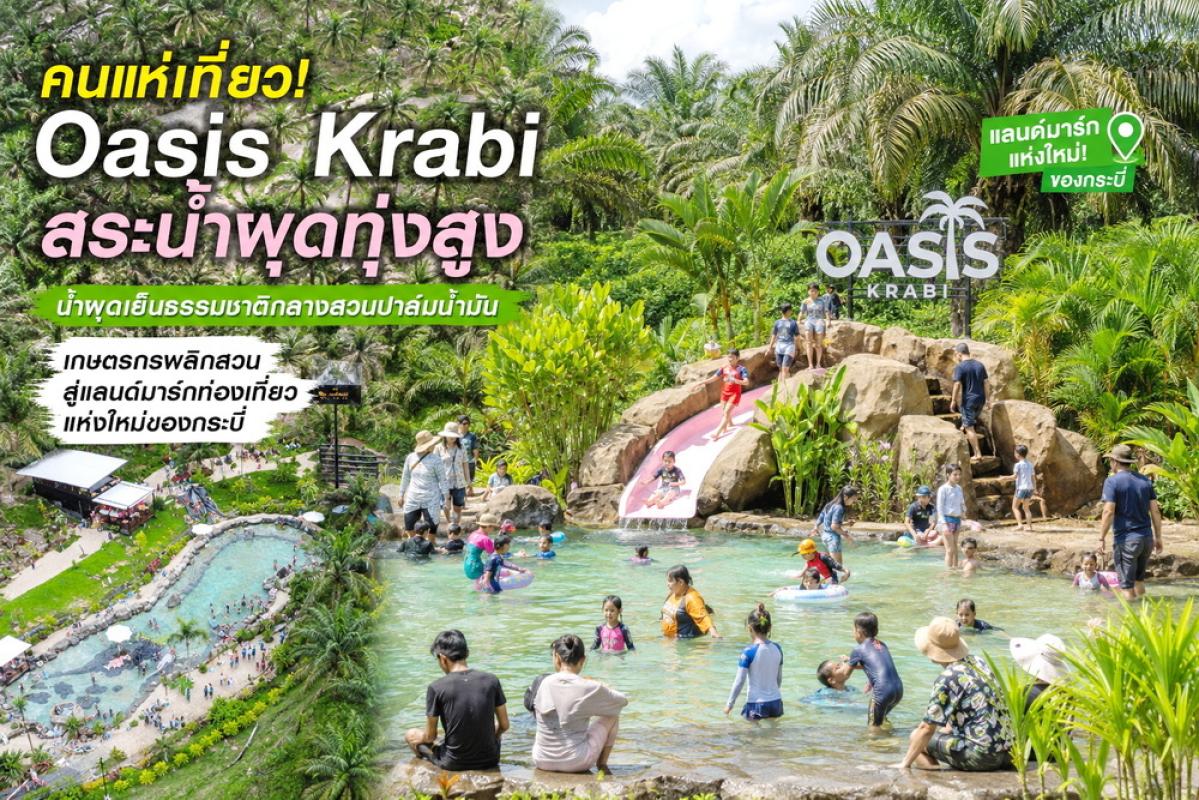 คนแห่เที่ยว " Oasis Krabi  สระน้ำผุดทุ่งสูง" น้ำผุดเย็นธรรมชาติกลางสวนปาล์มน้ำมัน เกษตรกรพลิกสวนสู่แลนด์มาร์กท่องเที่ยวแห่งใหม่ของกระบี่