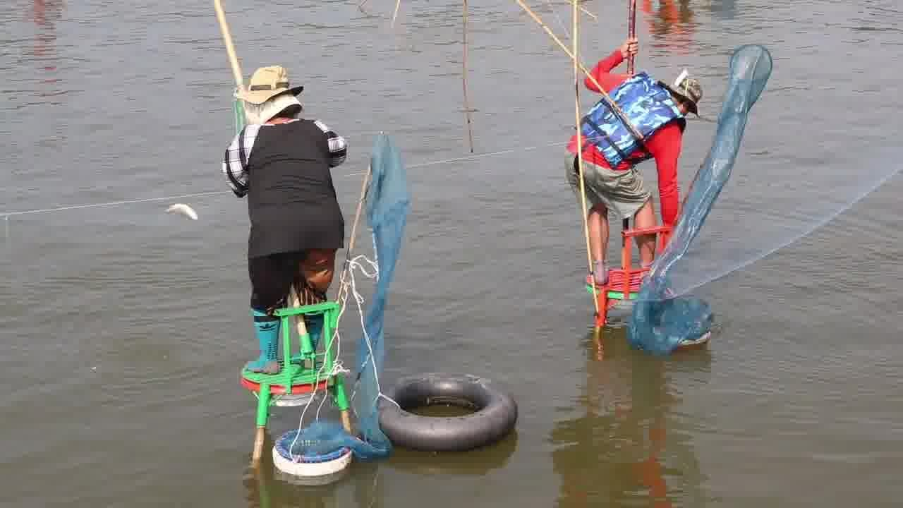 ประเพณีลงแหผ่าปลา’ สร้างความรักความสามัคคีของชาวบ้านพังขว้างเหนือ จ.สกลนคร