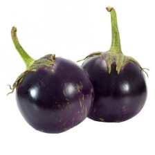 Tal Begun [ brinjal ]